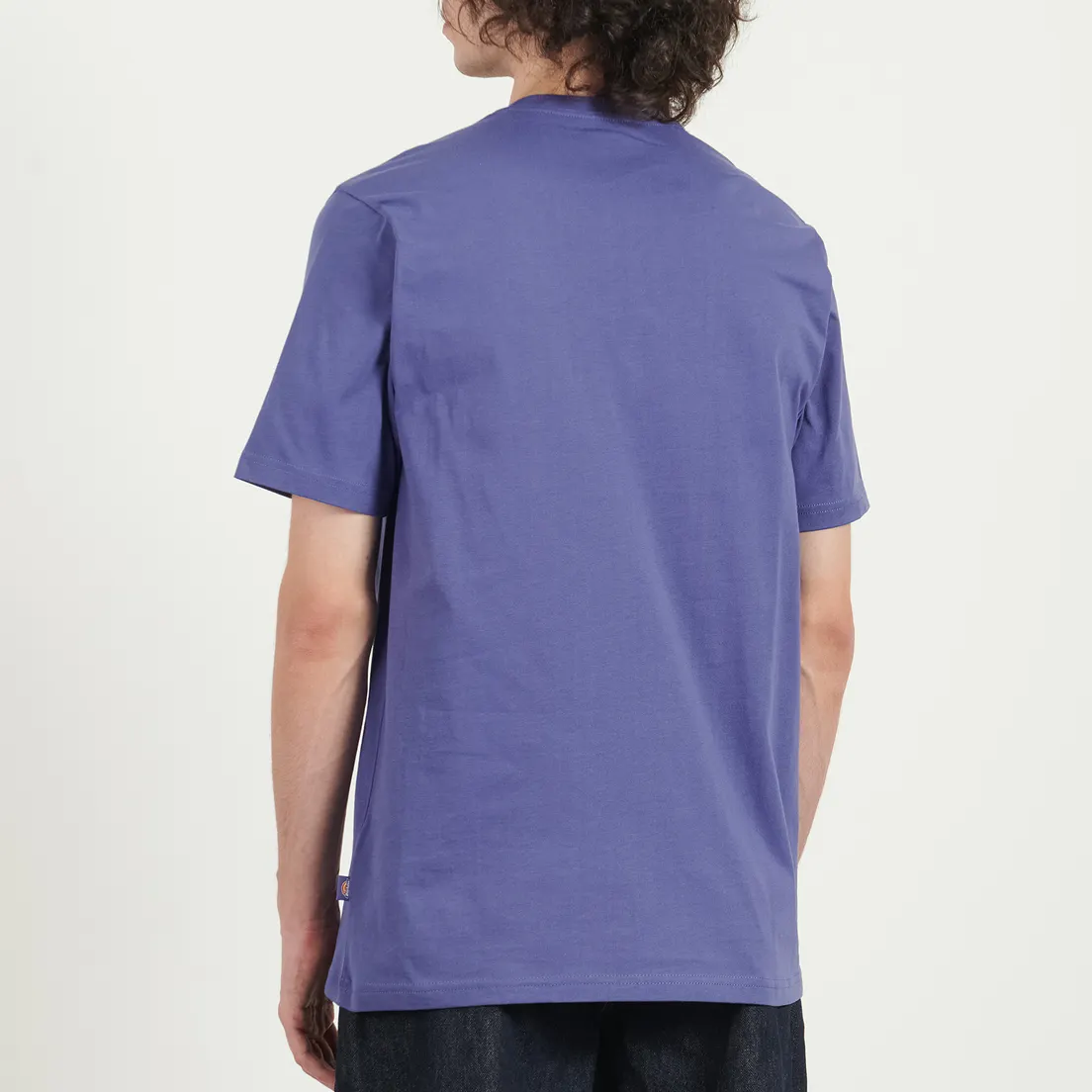 Dickies Мужская футболка Mapleton