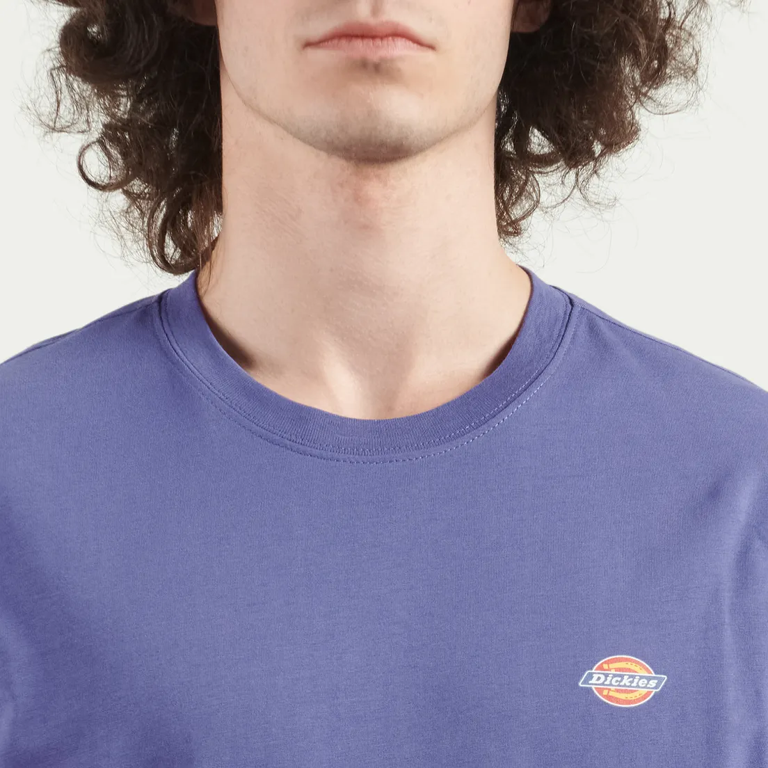 Dickies Мужская футболка Mapleton