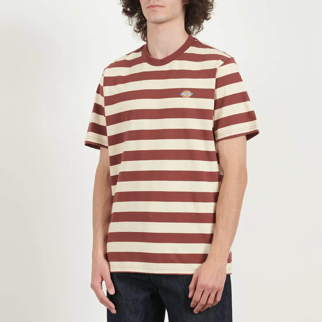 Dickies Мужская футболка Rivergrove