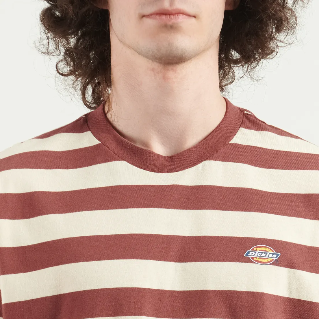 Dickies Мужская футболка Rivergrove