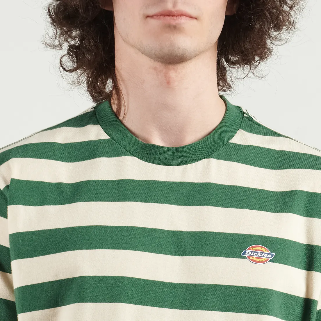 Dickies Мужская футболка Rivergrove
