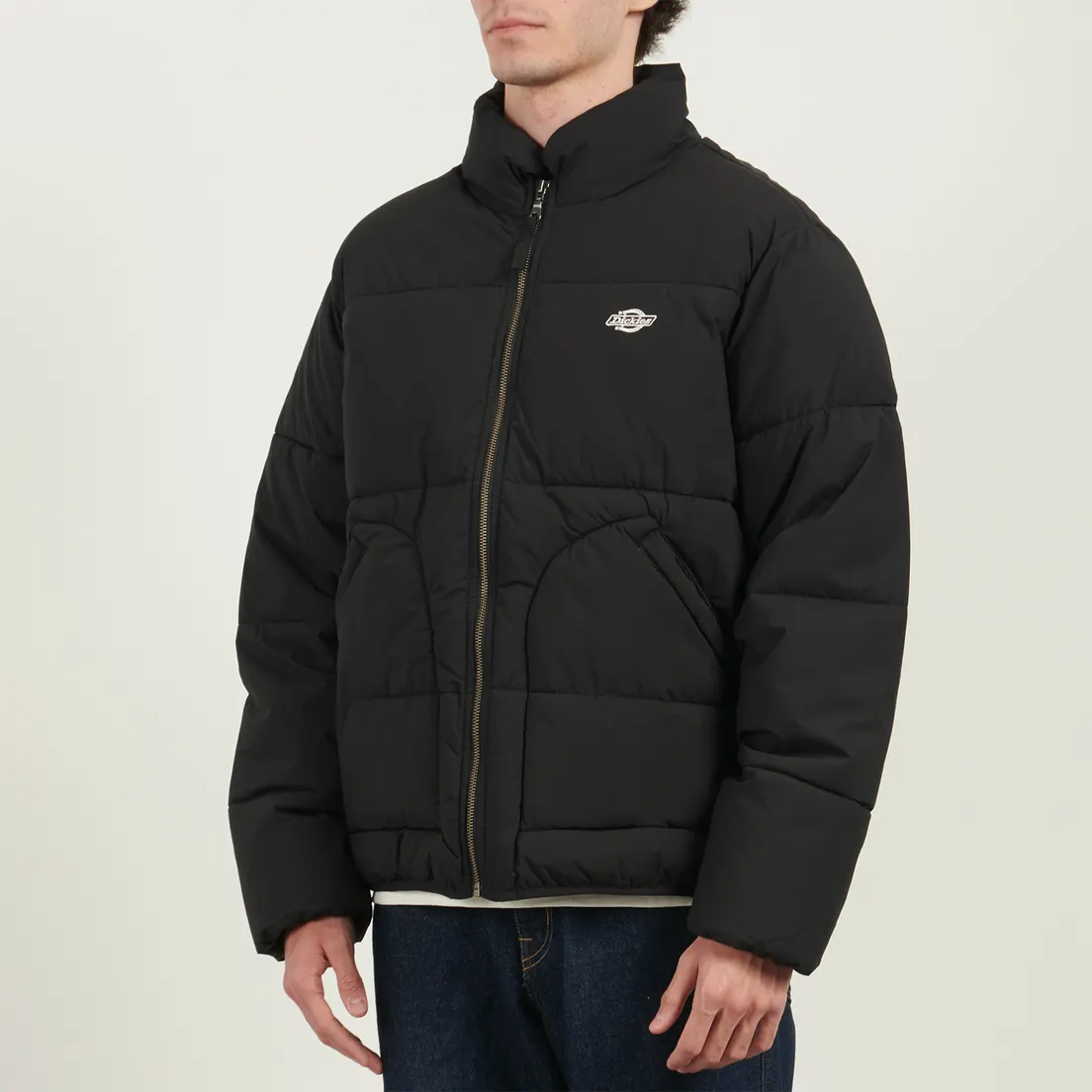 Dickies Мужской пуховик Summerdale Puffer