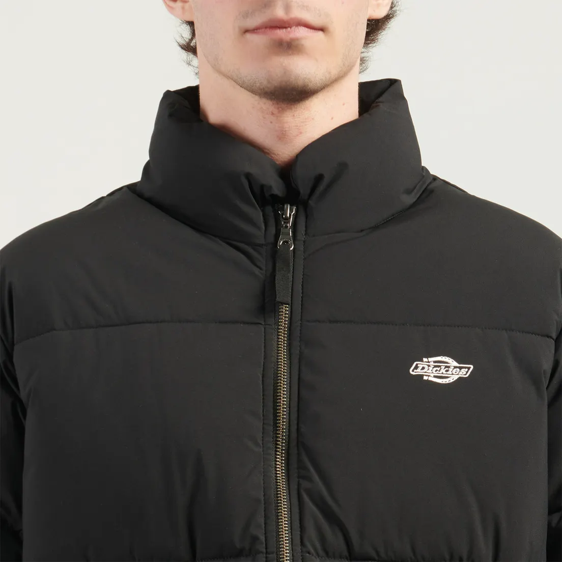 Dickies Мужской пуховик Summerdale Puffer