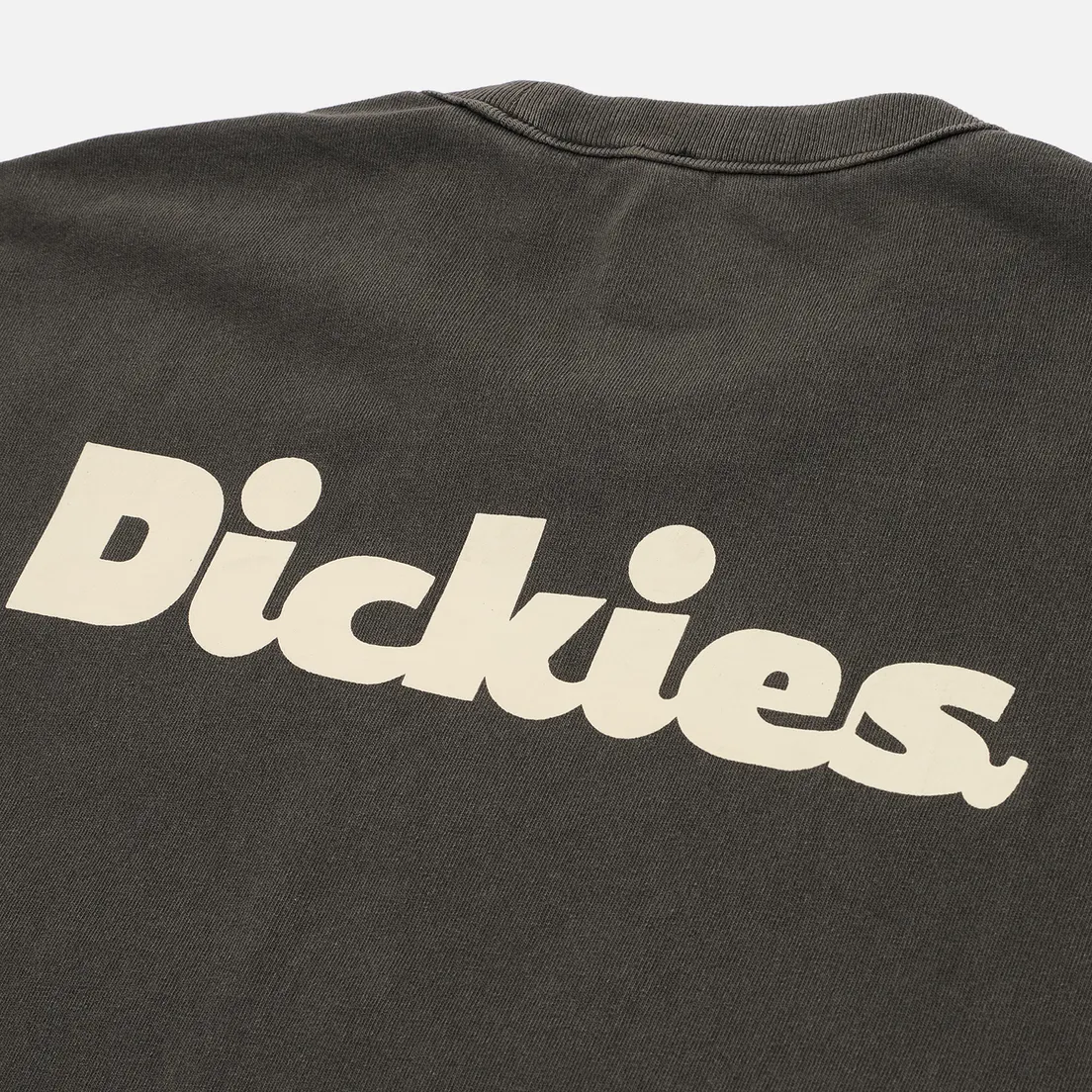 Dickies Мужская футболка Slayden GD