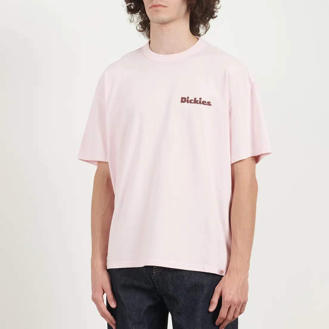 Dickies Мужская футболка Slayden GD