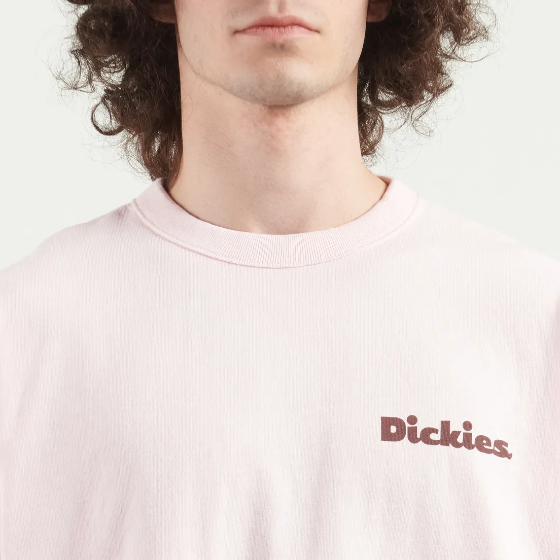 Dickies Мужская футболка Slayden GD