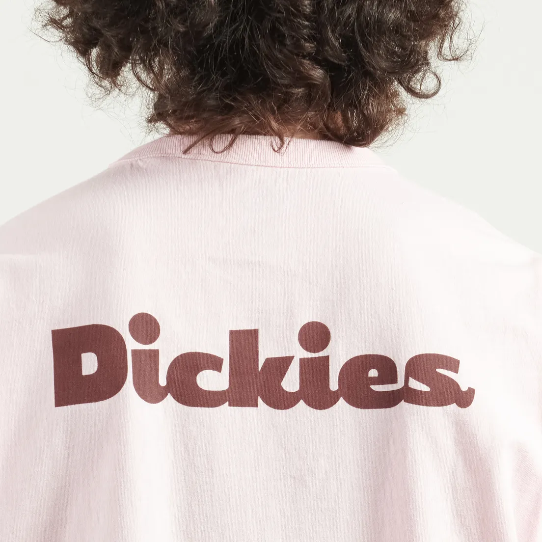 Dickies Мужская футболка Slayden GD