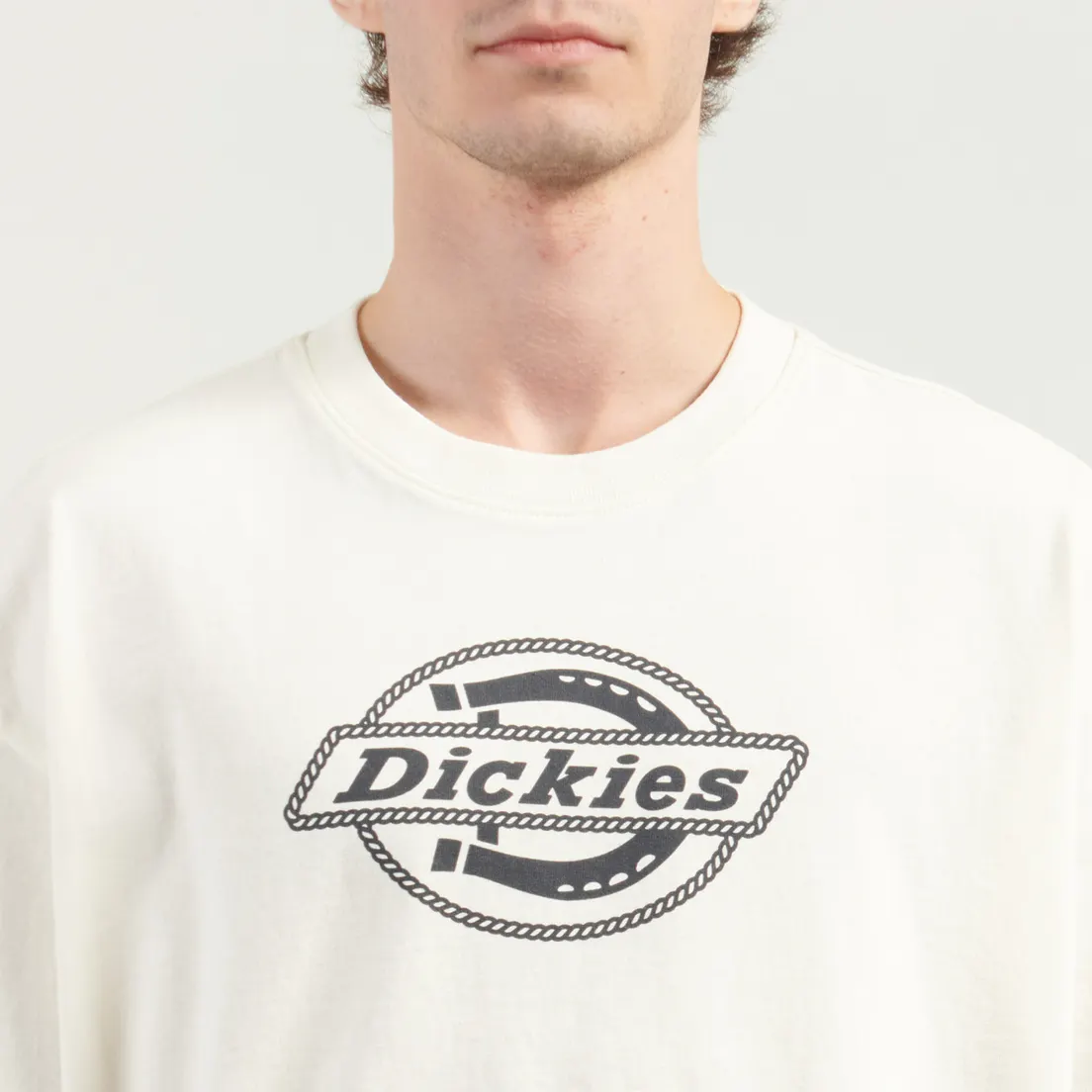 Dickies Мужская футболка Forth Shaw