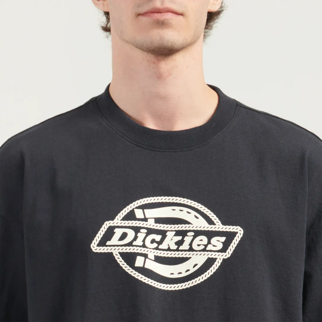 Dickies Мужская футболка Forth Shaw