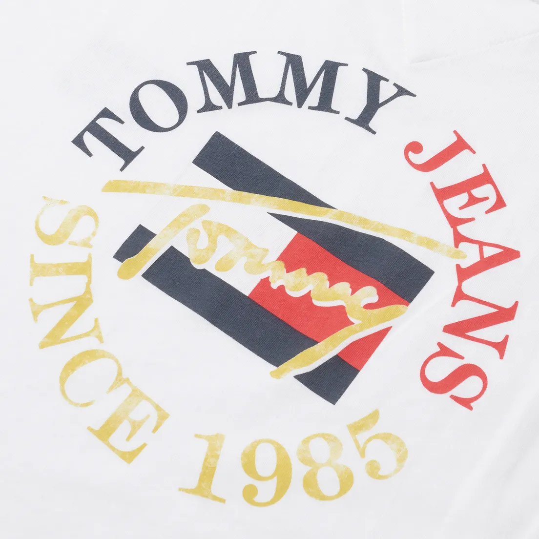 Tommy Jeans Мужская футболка Vintage Circular