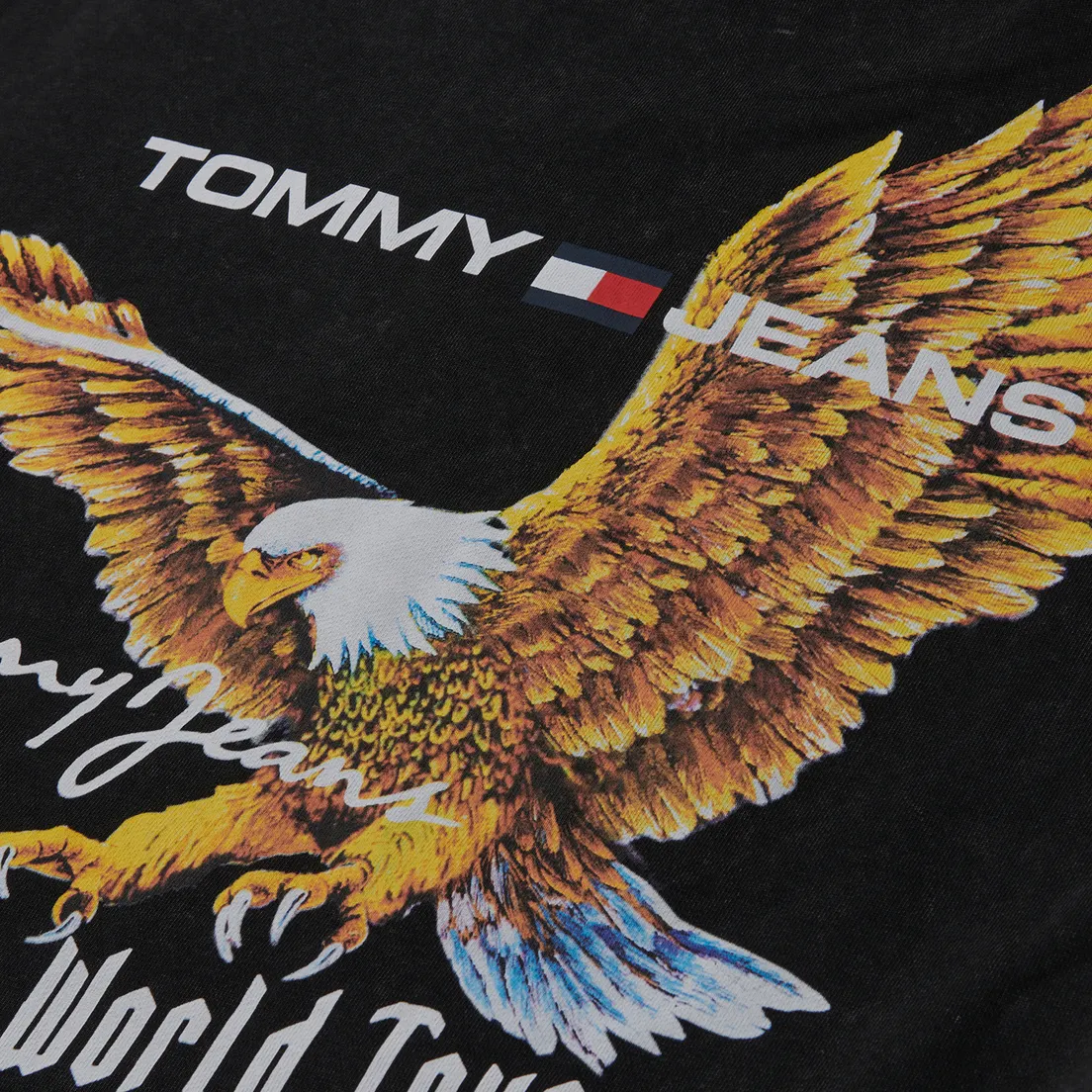 Tommy Jeans Мужская толстовка Relaxed Vintage Eagle Hoodie