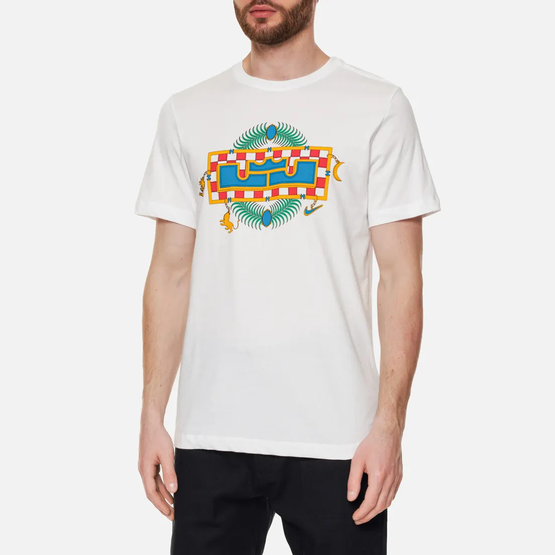 Nike Мужская футболка LeBron Dri-Fit Crown