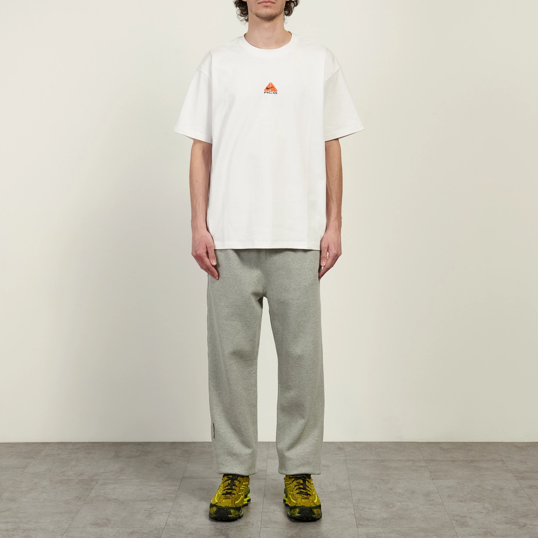 Nike Мужская футболка ACG LBR Lungs