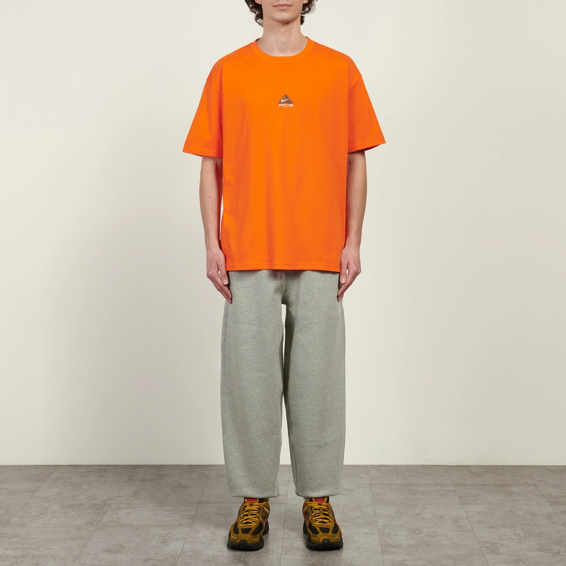 Nike Мужская футболка ACG LBR Lungs