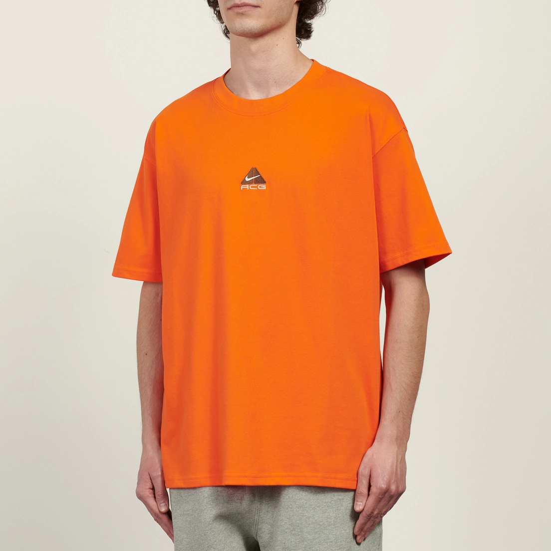 Nike Мужская футболка ACG LBR Lungs