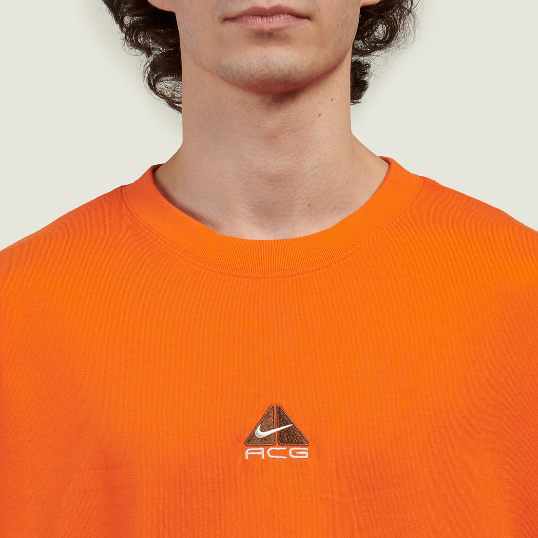 Nike Мужская футболка ACG LBR Lungs