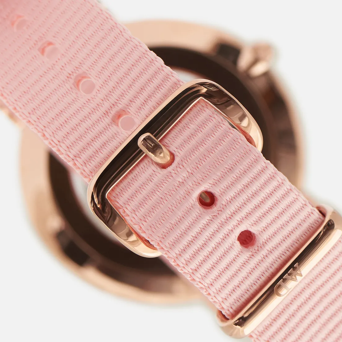 Daniel Wellington Наручные часы Petite Rosewater