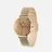 Daniel Wellington