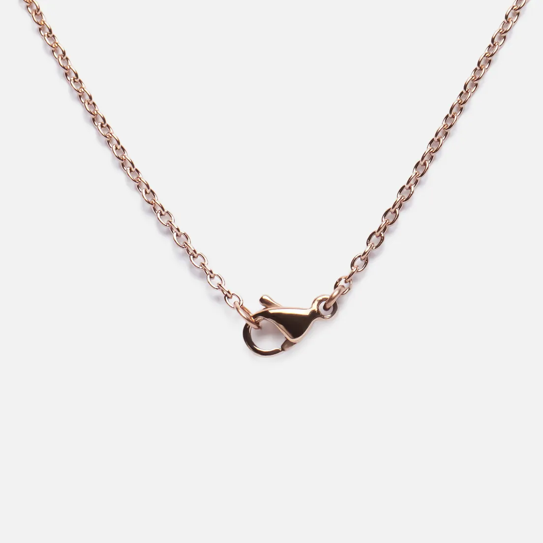 Daniel Wellington Колье Elan Unity Necklace