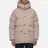 Arctic Explorer