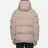 Arctic Explorer