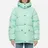 Arctic Explorer