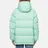 Arctic Explorer