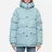 Arctic Explorer