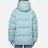 Arctic Explorer