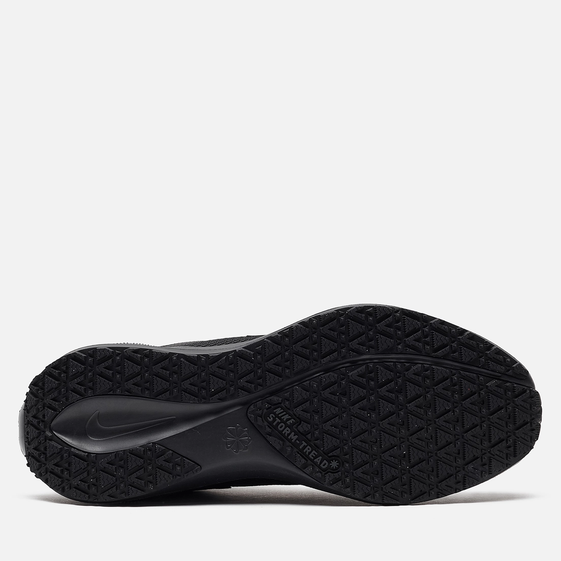 Nike Мужские кроссовки Air Zoom Pegasus 41 Gore-Tex