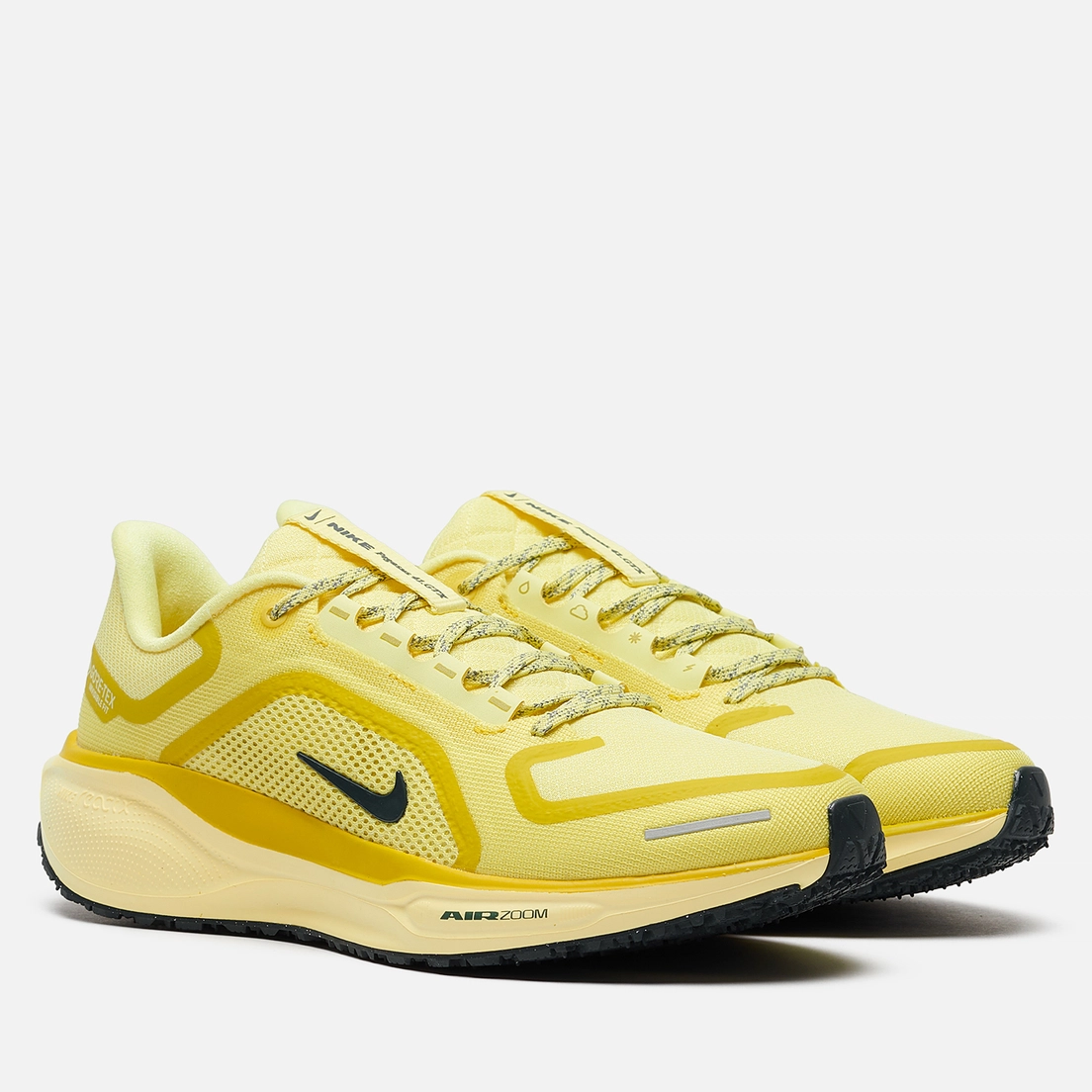 Nike Мужские кроссовки Air Zoom Pegasus 41 Gore-Tex