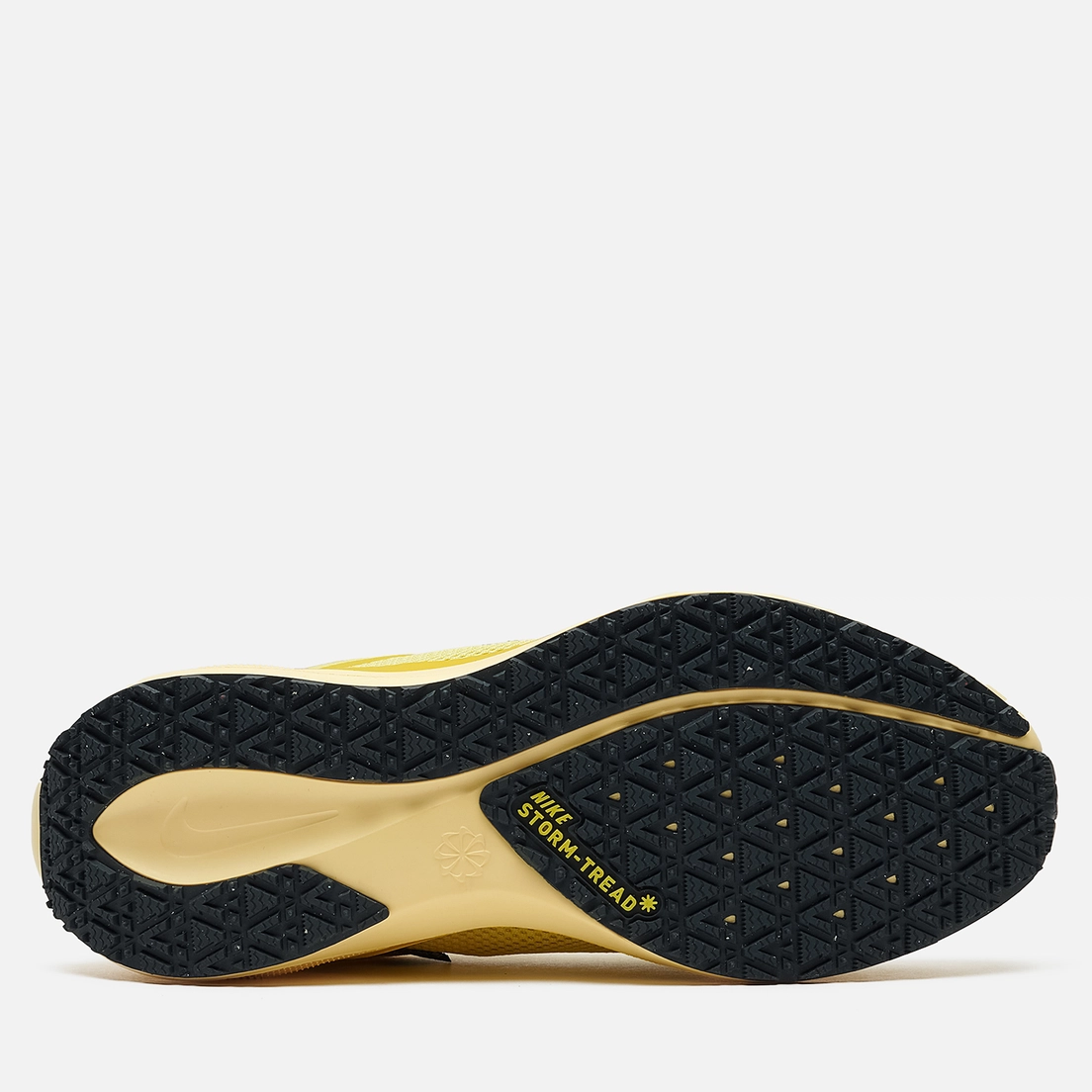 Nike Мужские кроссовки Air Zoom Pegasus 41 Gore-Tex