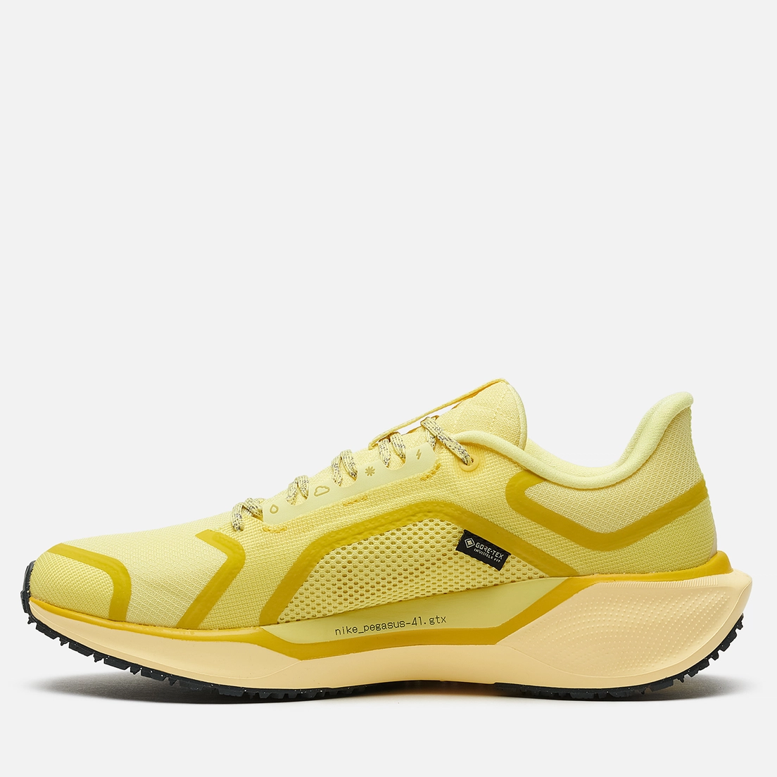 Nike Мужские кроссовки Air Zoom Pegasus 41 Gore-Tex