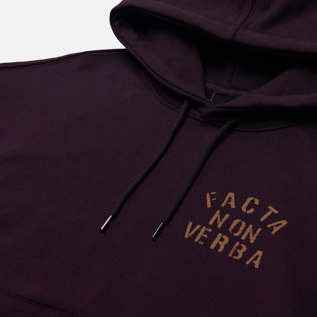 FrizmWORKS Мужская толстовка Facta Non Verba Hoodie