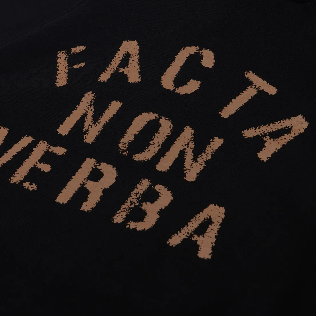 FrizmWORKS Мужская толстовка Facta Non Verba Hoodie