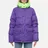 Arctic Explorer