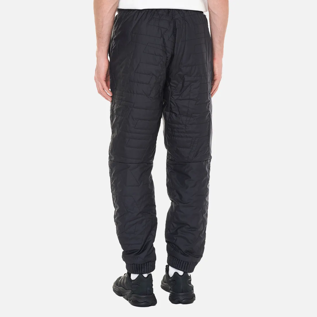 adidas Performance Мужские брюки Terrex Primaloft