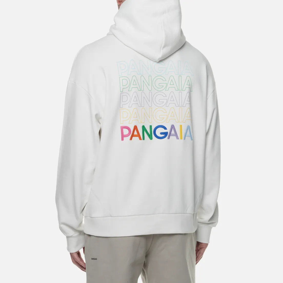 PANGAIA Мужская толстовка Graphic 5 Pangaia Hoodie