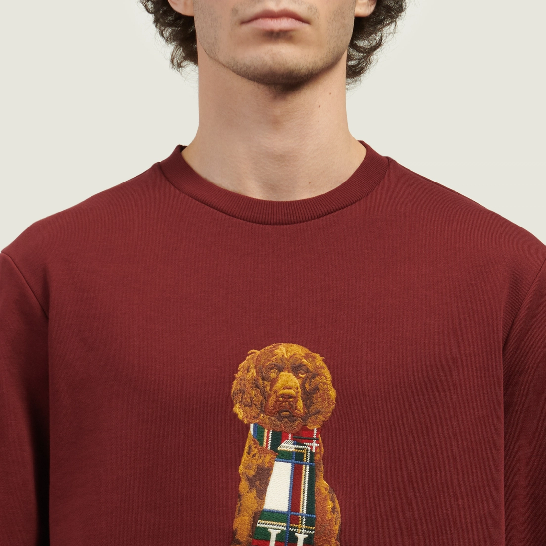 Hackett Мужская толстовка Heritage Harry Crew