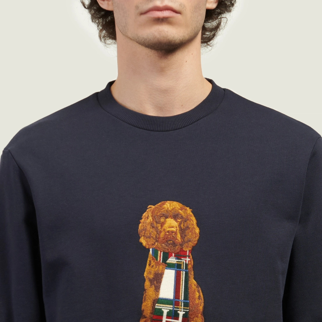 Hackett Мужская толстовка Heritage Harry Crew