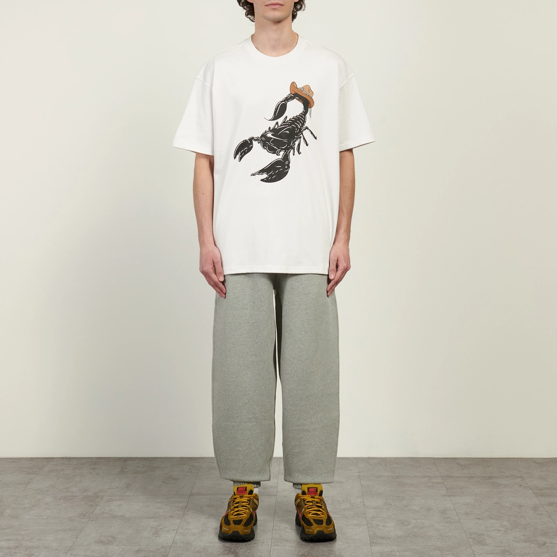 Nike Мужская футболка ACG Scorpion