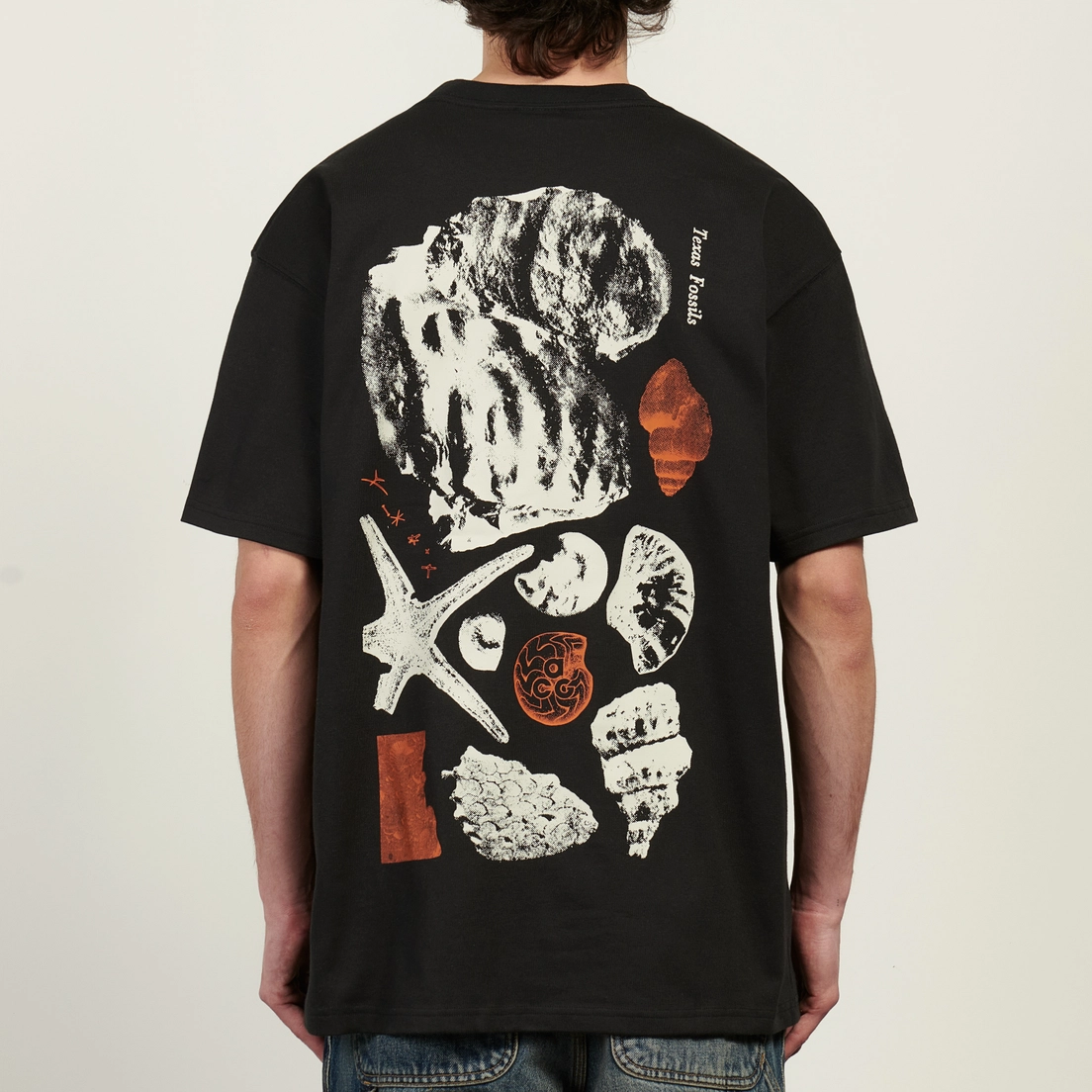 Nike Мужская футболка ACG Fossils