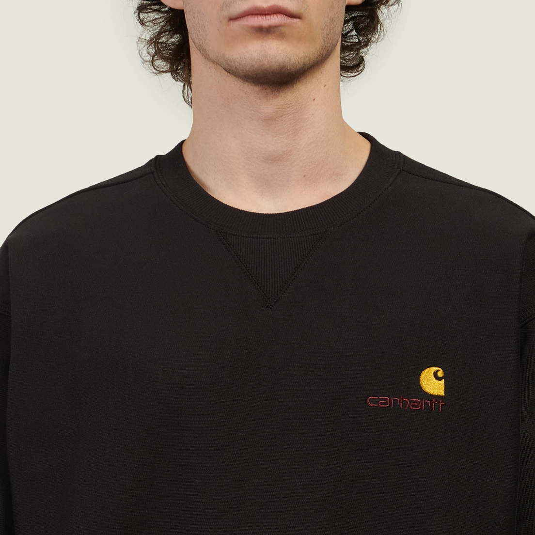 Carhartt WIP Мужская толстовка American Script