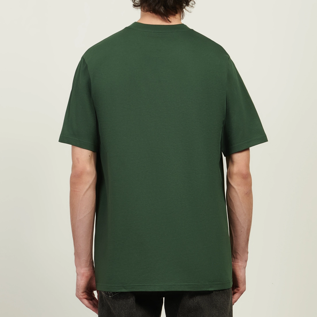 Carhartt WIP Мужская футболка Script Regular