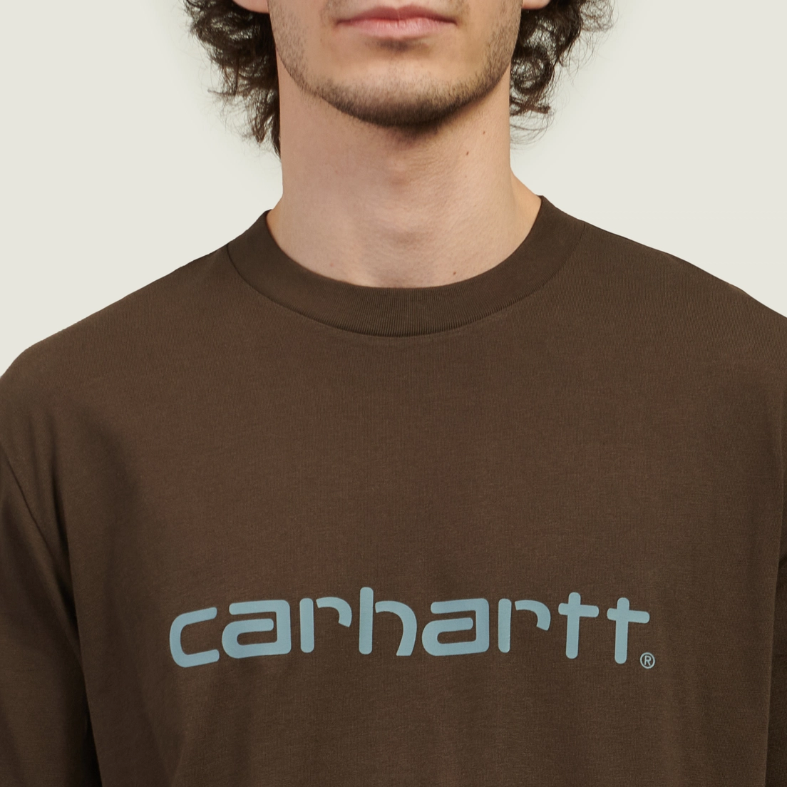 Carhartt WIP Мужская футболка Script Regular