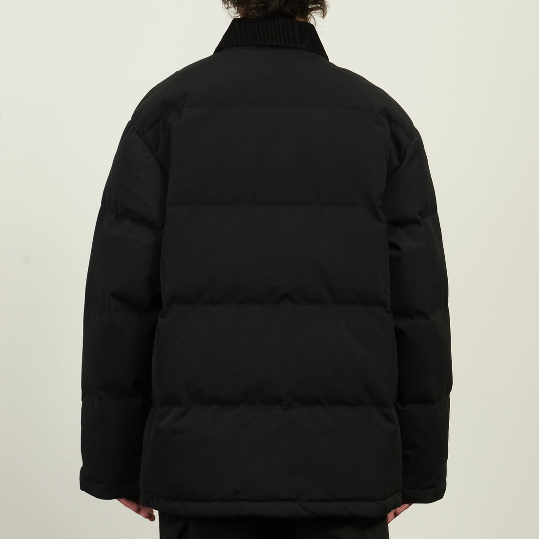 Carhartt WIP Мужская демисезонная куртка Rayler