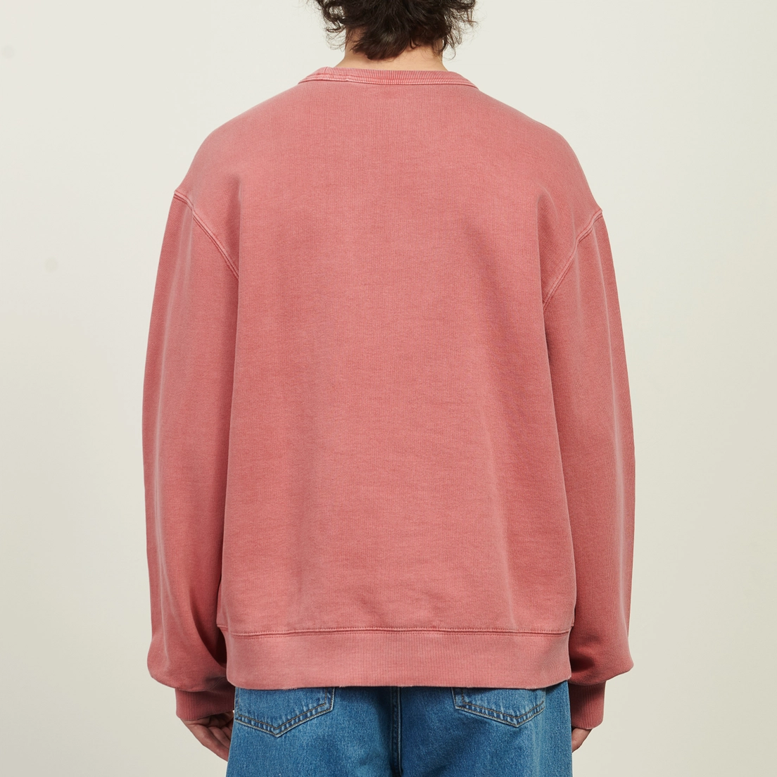 Carhartt WIP Мужская толстовка Torion