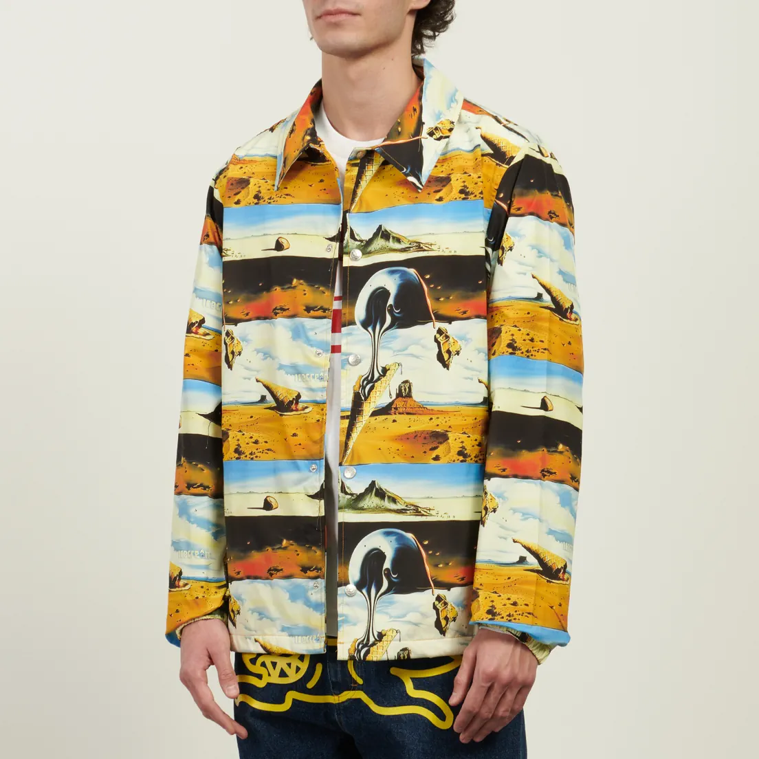 ICECREAM Мужская куртка ветровка Dreamscape Coach