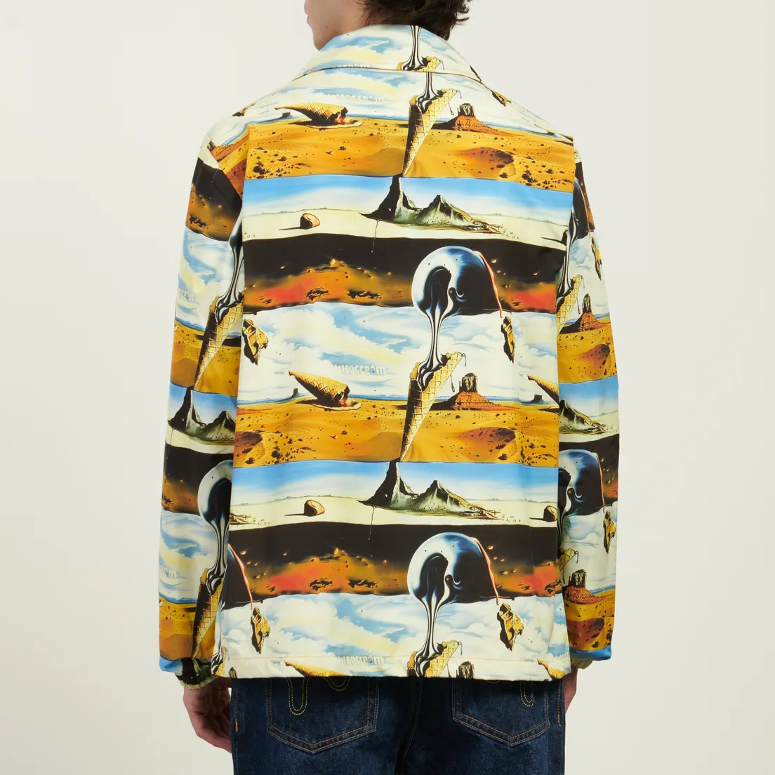 ICECREAM Мужская куртка ветровка Dreamscape Coach
