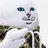 RIPNDIP